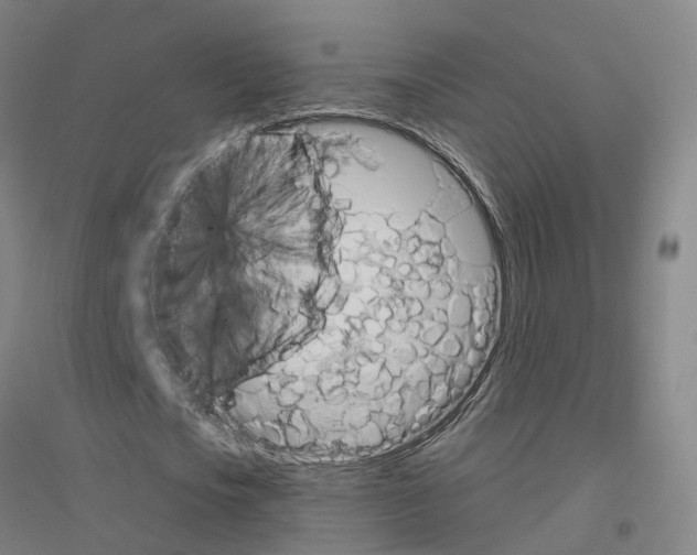 X0000116830721201001291642