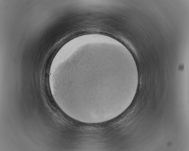 X0000116830722201001291642