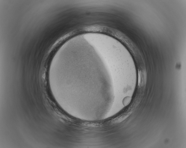 X0000116830723201001291642