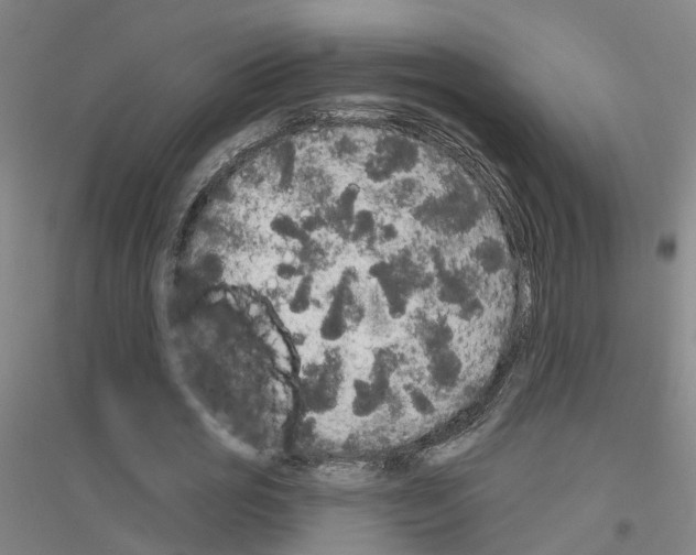 X0000116830725201001291642