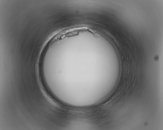 X0000116830726201001291642