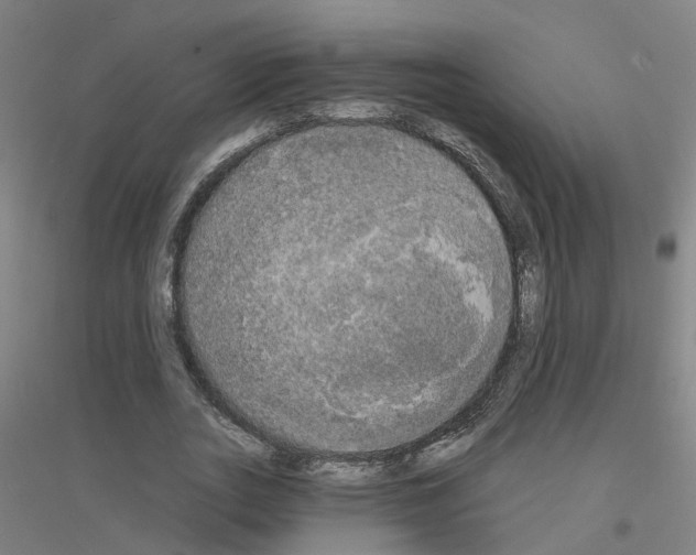 X0000116830727201001291642