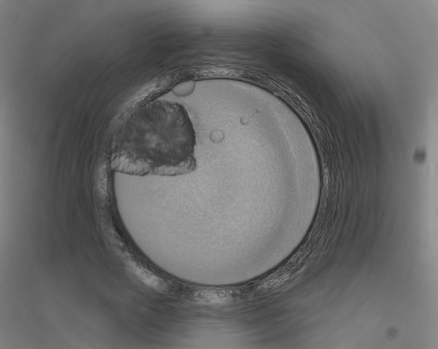 X0000116830729201001291642