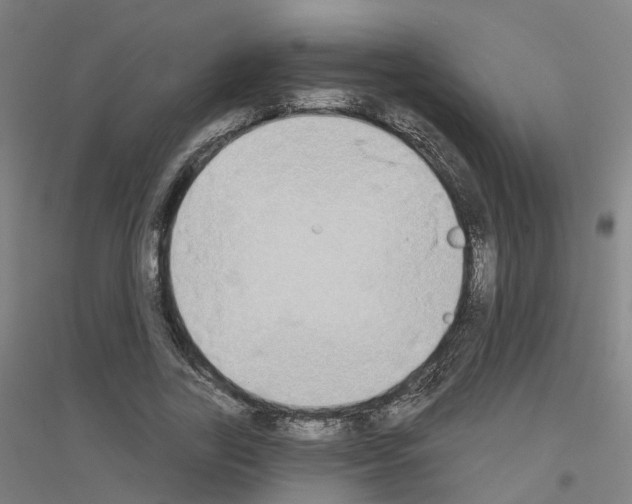 X0000116830731201001291642