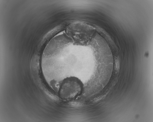 X0000116830733201001291642