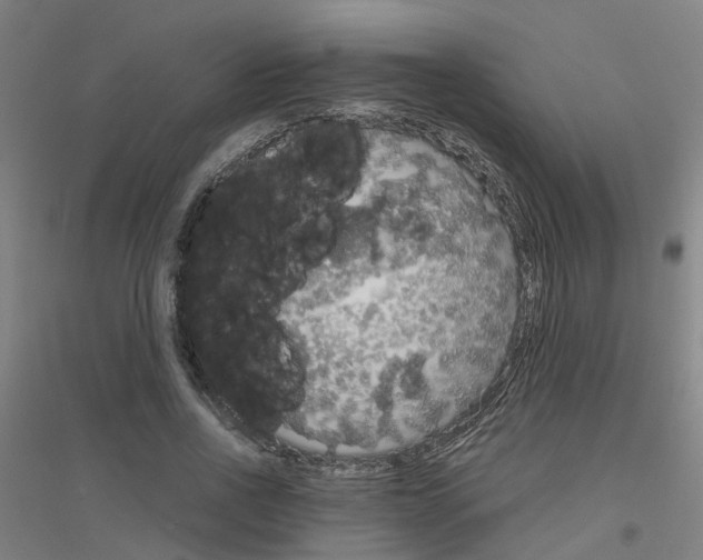 X0000116830734201001291642