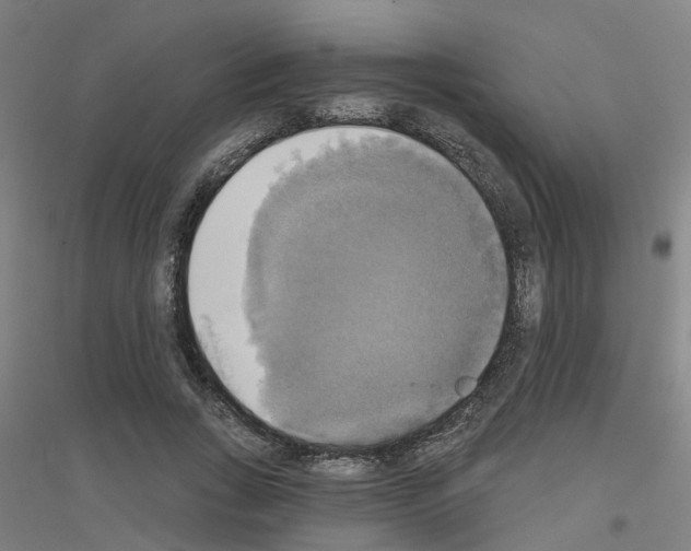 X0000116830735201001291642