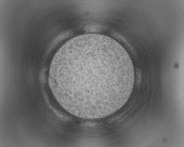 X0000116830738201001291642