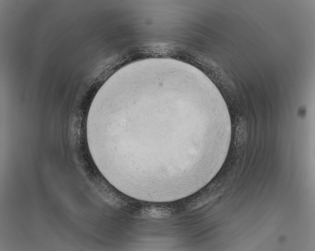 X0000116830739201001291642