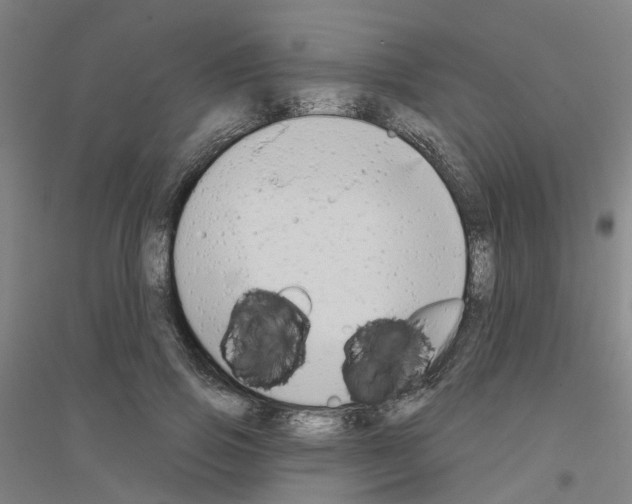 X0000116830741201001291643