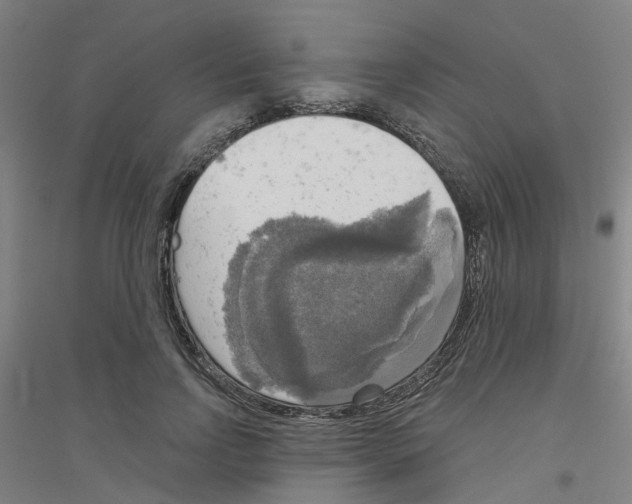 X0000116830742201001291643