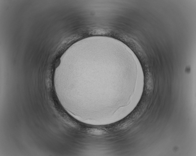 X0000116830743201001291643