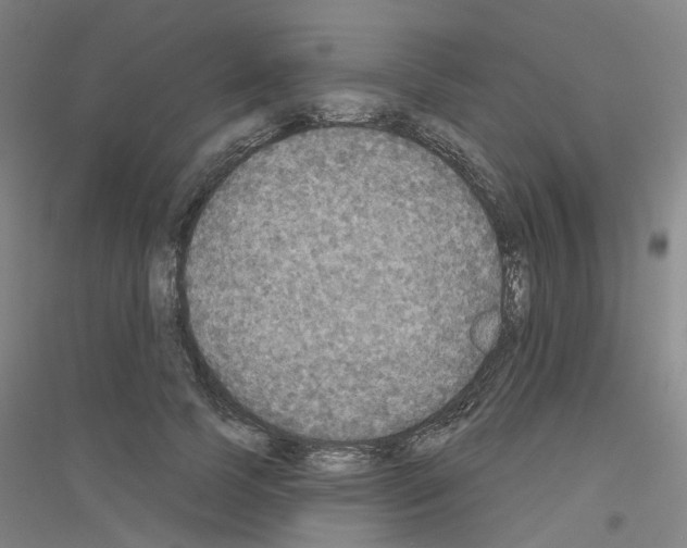 X0000116830745201001291643