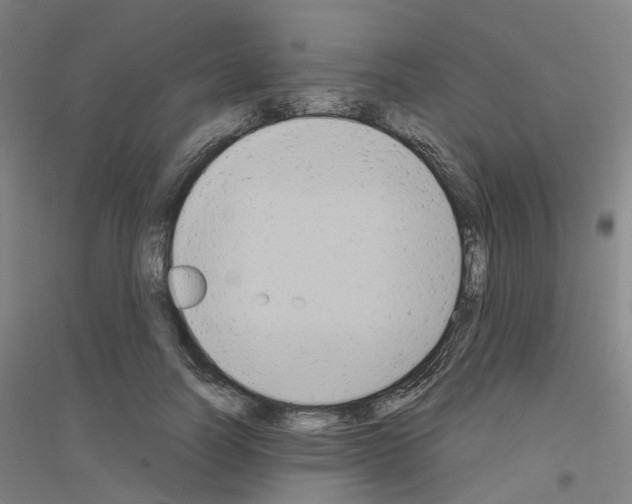 X0000116830746201001291643