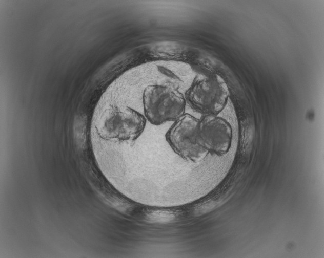 X0000116830749201001291643