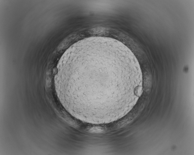 X0000116830751201001291643