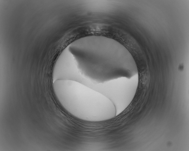 X0000116830754201001291643