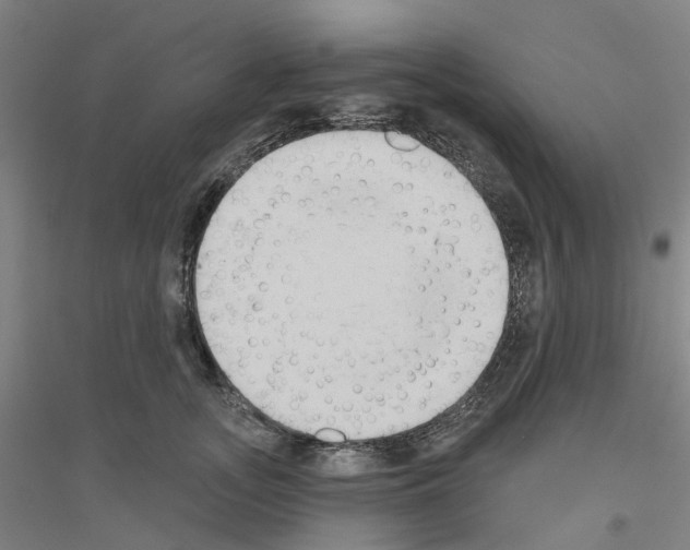 X0000116830755201001291643