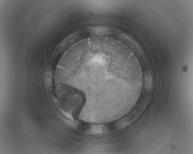 X0000116830757201001291643