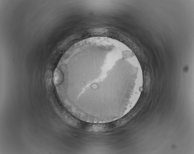 X0000116830758201001291643