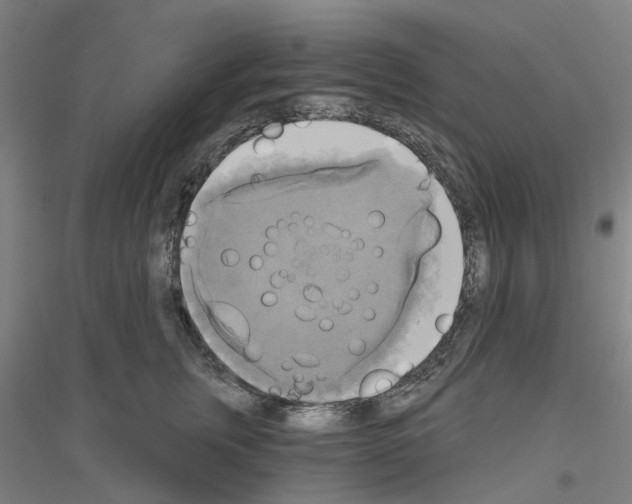 X0000116830759201001291643