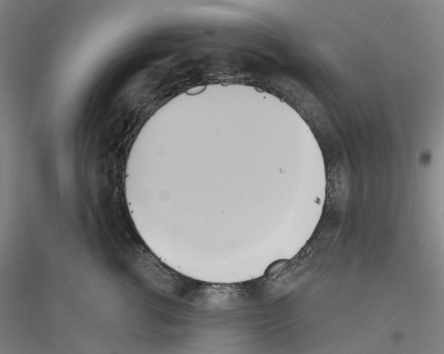 X0000116830762201001291643