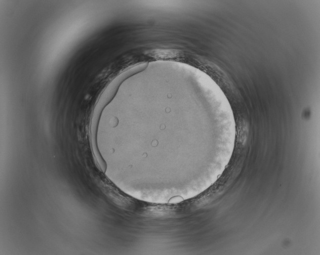 X0000116830763201001291643