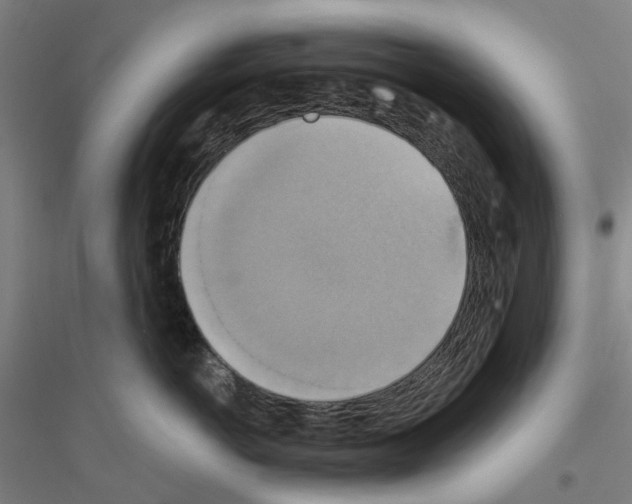 X0000116830766201001291643