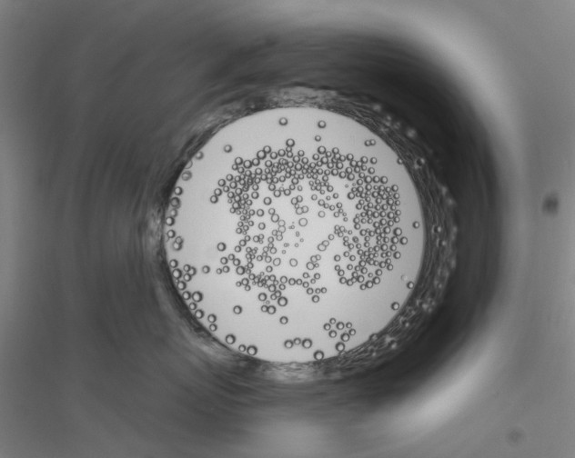 X0000116830767201001291643