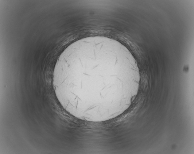 X0000116830770201001291642