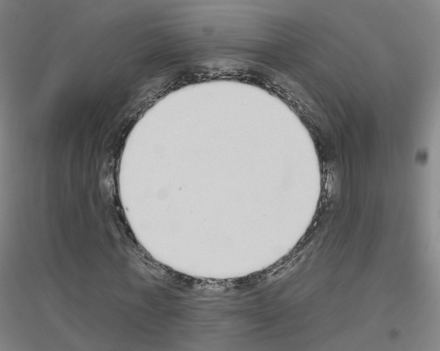 X0000116830771201001291642