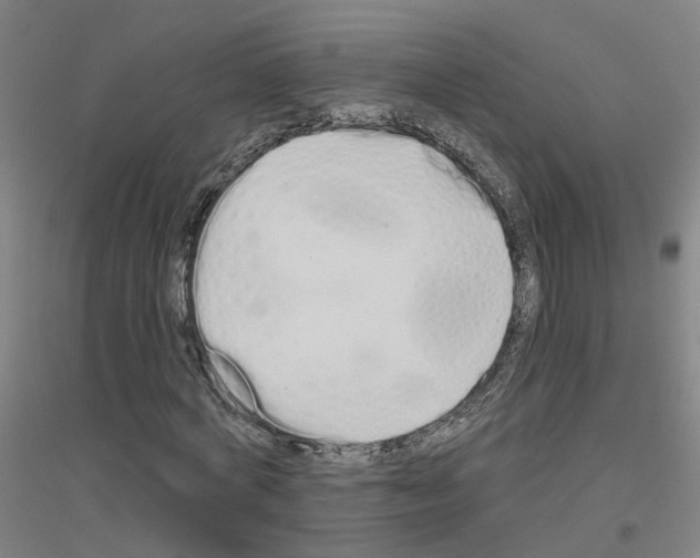 X0000116830772201001291642