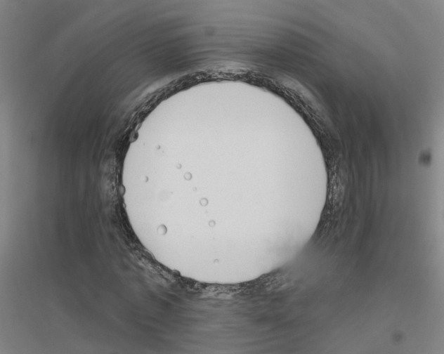 X0000116830773201001291642