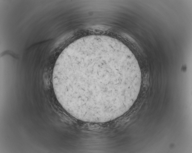 X0000116830774201001291642