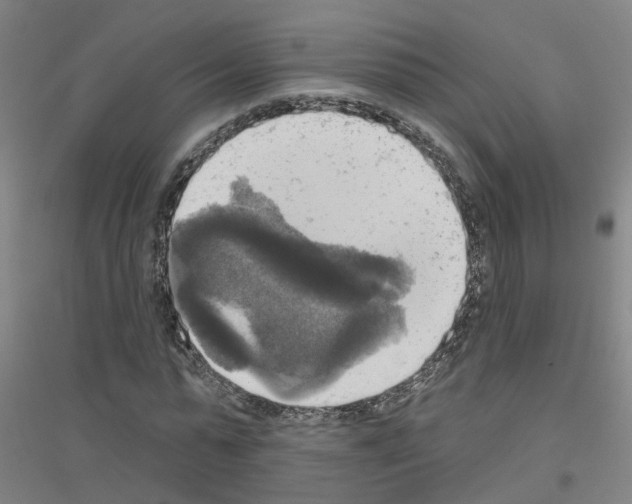 X0000116830775201001291642