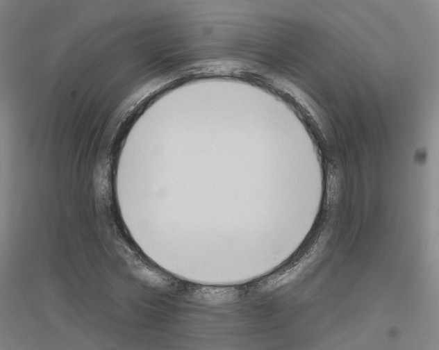 X0000116830778201001291642