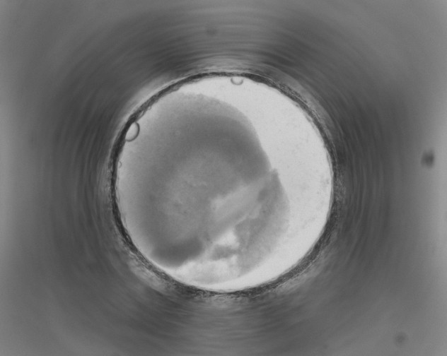 X0000116830779201001291642