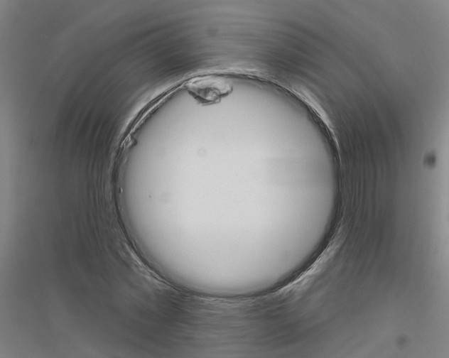 X0000116830781201001291642