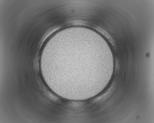 X0000116830782201001291642