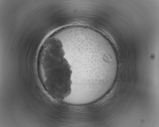 X0000116830784201001291642