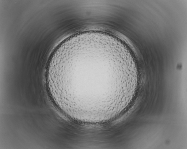 X0000116830786201001291642