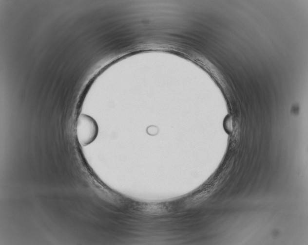 X0000116830787201001291642