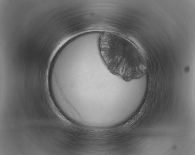 X0000116830788201001291642