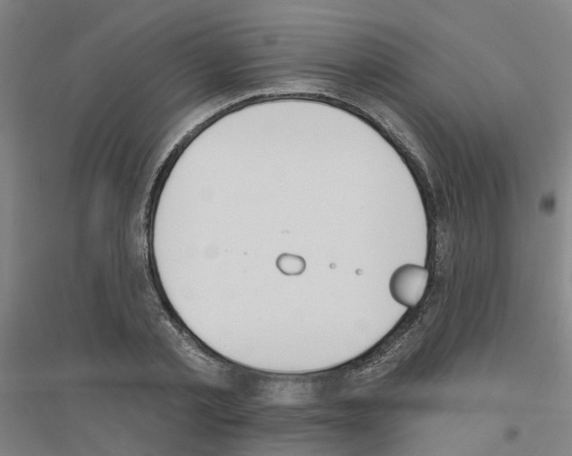 X0000116830789201001291642