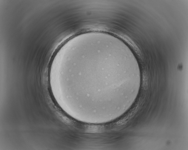 X0000116830790201001291642