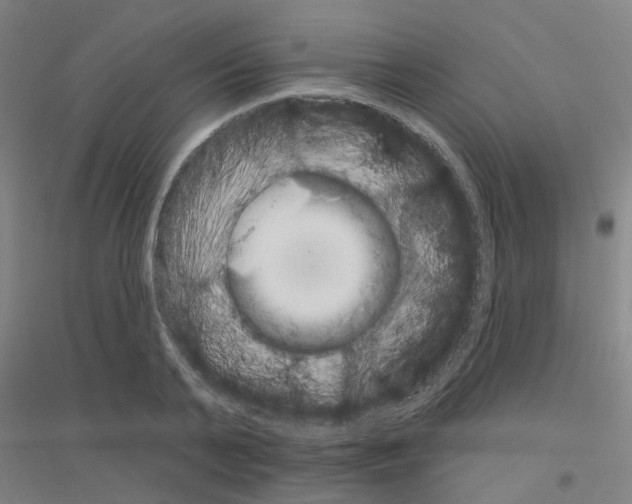 X0000116830791201001291642