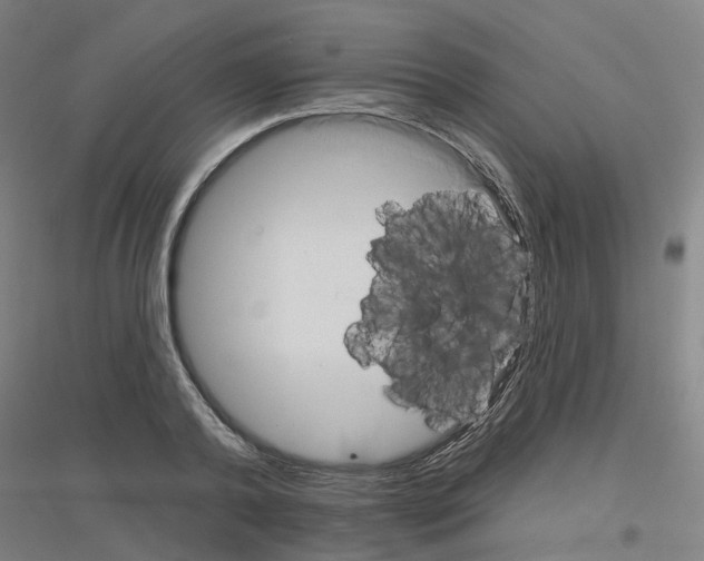 X0000116830792201001291642