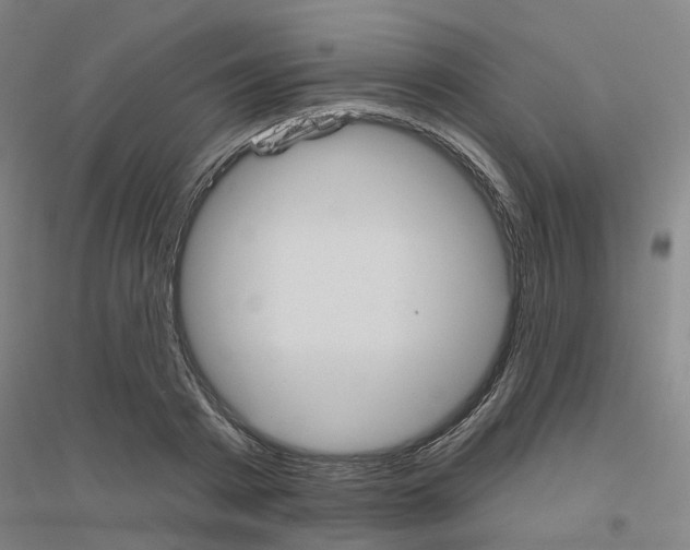 X0000116830793201001291642