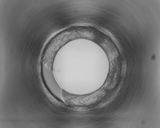 X0000116830795201001291642