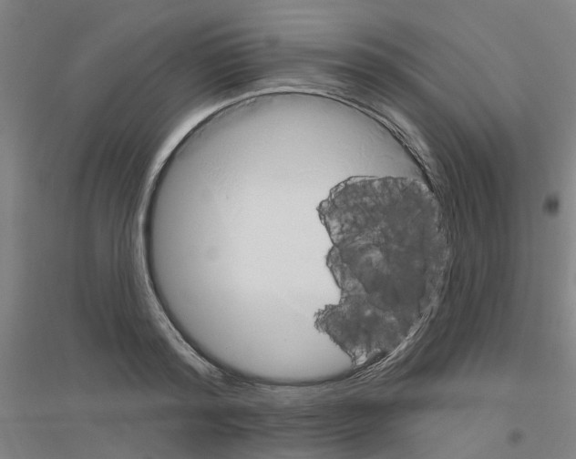 X0000116830796201001291642